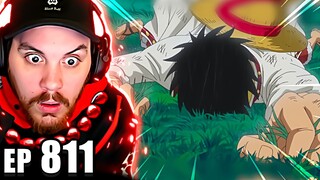 Luffy was Defeated?! | One Piece REACTION