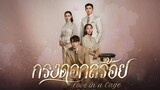 Love in a Cage EP.9(1/3)