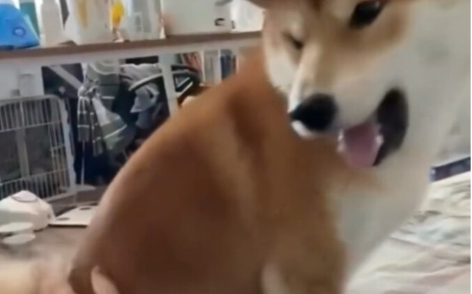 “Á～ chỗ đó… không được!”