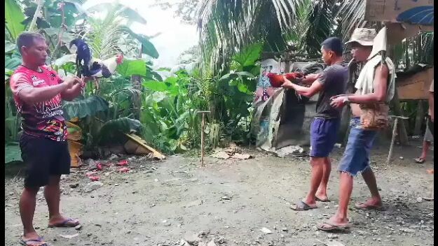 first win sa akong talisayon mga idol