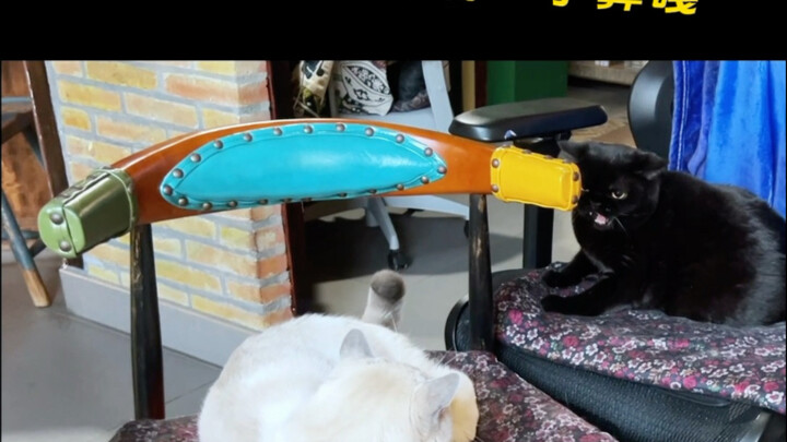 You make me embarrass myself during the day—tonight, I’ll leave you covered in bruises.