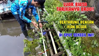 GILAAA..!! SPOT SEMPIT TAPI BANYAK IKAN BESAR!!