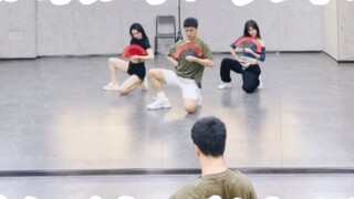 【Bai Xiaobai】《เป็ดแมนดารินและบีโกเนีย》กระจกซ้อมเต้นแจ๊สสไตล์จีน