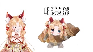 可颂猫，但是江浙沪棉毛裤