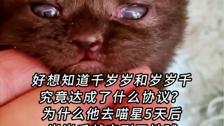 Akankah kedua kucing hitam ini memiliki "kesepakatan"? Atau aku yang terlalu memikirkannya...555555