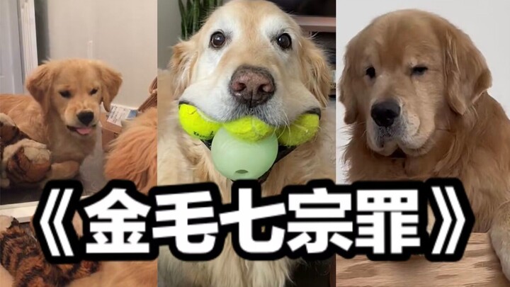 “Anjing Berbulu Emas dan Tujuh Dosa Mematikan”