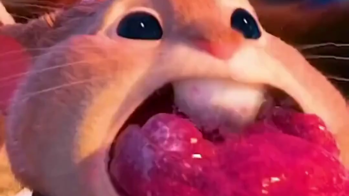 So it turns out there are so many different names for the ice cream we eat!