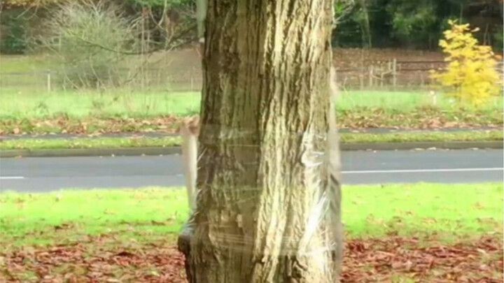 Only recommended for those with a tiny bit of artistic flair.