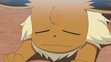 Pokémon丨Ini adalah koleksi Eevee milik Koharu~Sangat lembut dan seperti lilin, sangat lucu