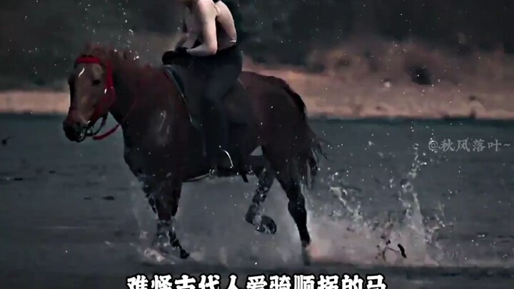 A horse that turns right is a treasure; when I turn right, it’s a blast! #Right-TurningHorse #Walkin