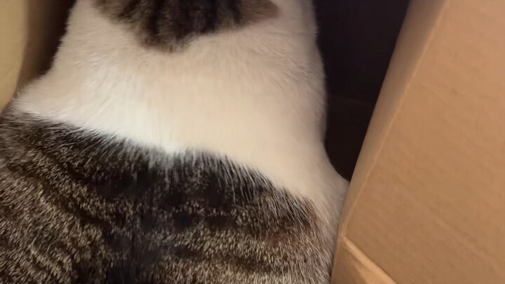 进不去就进不去，非要给我抓烂