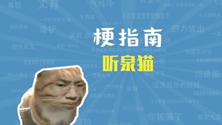 Meme "Mèo Đình Tuyền" là gì? [Hướng dẫn meme]