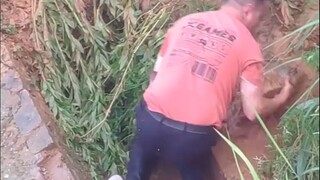 Ikan ini sudah gila ya?