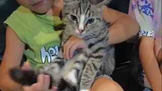 Con mèo lớn và đứa trẻ vĩ đại