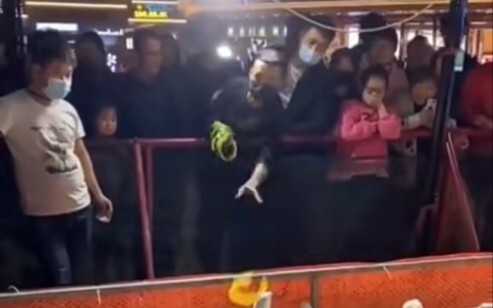 One person, one goose—neither side will back down as they lock horns!