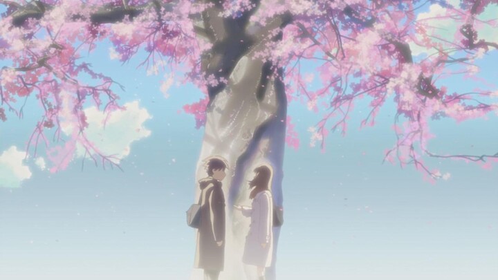 After more than ten years, I finally understood "5 Centimeters per Second"