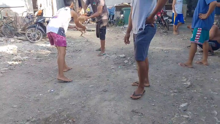 galing talaga puti namen kanan patare nan