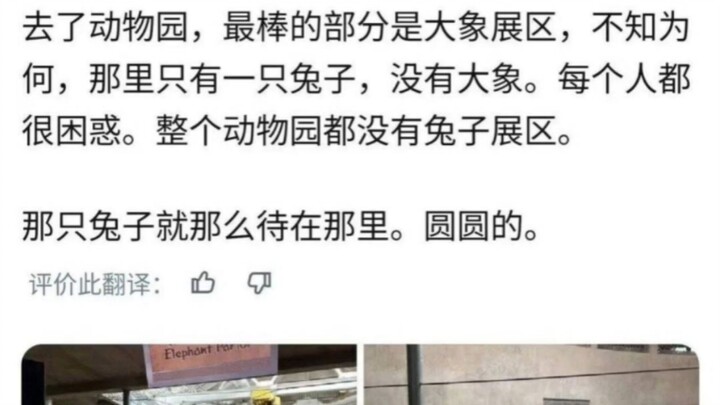 “Con thỏ cứ đứng yên ở đó, tròn xoe…”