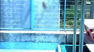 Bây giờ trời sắp nắng rồi~ (Phiên bản hài hước)