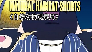 230127 Natural Habitat Shorts