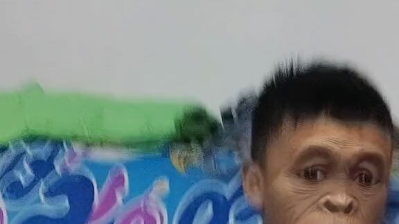 monkey boy