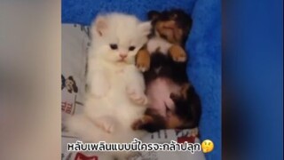 ขอไปนอนด้วยคนน้าา
