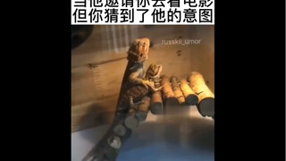 عندما يدعوك لمشاهدة فيلم لكنك تدرك نيته