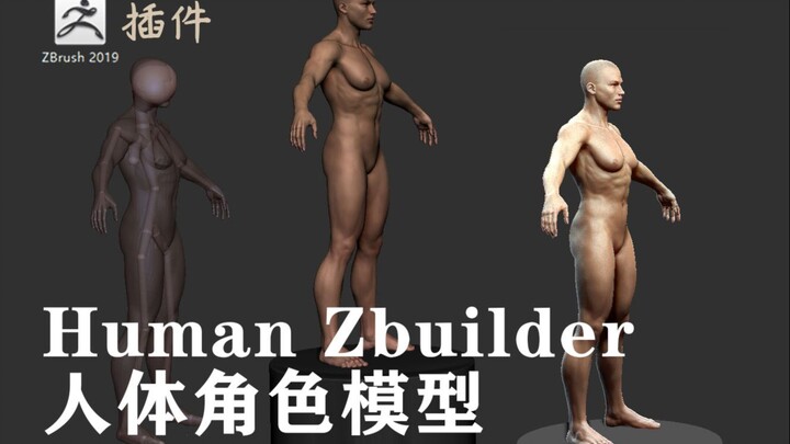 zbrush插件-Human Zbuilder人体角色模型简单介绍