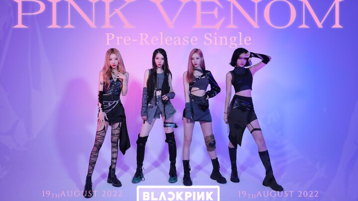 《PINK VENOM》白棚翻跳