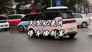 Nhìn xa là chỗ đỗ xe, nhìn gần mới thấy đó là đầu cá. Phim tài liệu quy mô lớn "Sát thủ bãi đỗ xe" m