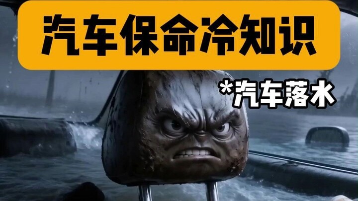 เกร็ดความรู้ช่วยชีวิตบนรถยนต์