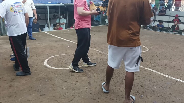 jan 21 2026 2 hits 1st fight win