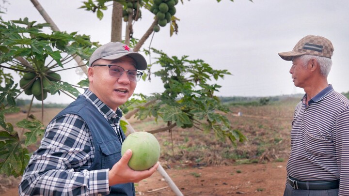 Video lucu: Klasik tak terlampaui dari Paman Damo dan perilaku membingungkan manusia