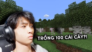 MÌNH TRỒNG 100 CÁI CÂY TRONG MINECRAFT!