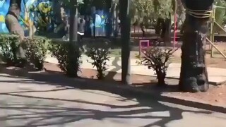 always be careful and look ahead when cycling