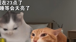 Ở phía Bắc có cuộc sống về đêm không?