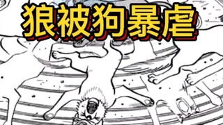 "True Alien Fighting War" 11 Wolf vs. Dog Wolf and Dog Fight Each Has Their Own Obsessions