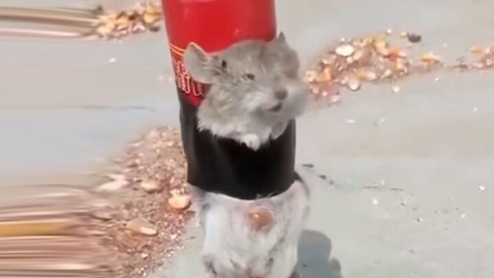 Mouse: Terbang dengan gembira (Fisik)