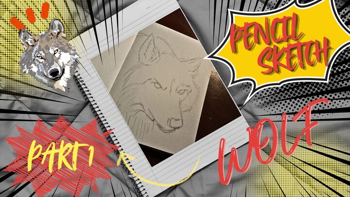 1.Drawing Wolf with Pencil | Part 1 - Sketch Process