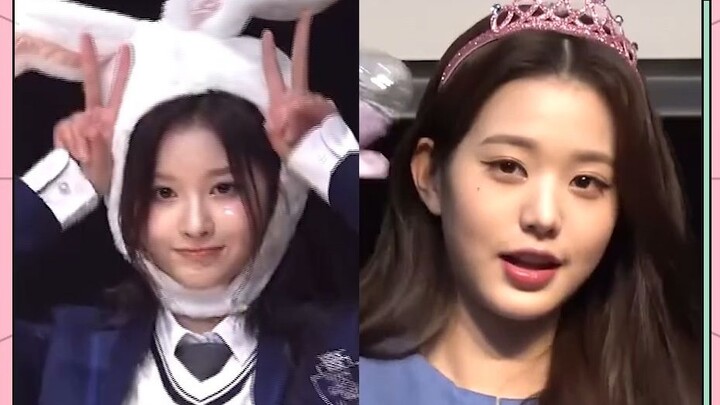 Penggemar gila di acara penandatanganan buku