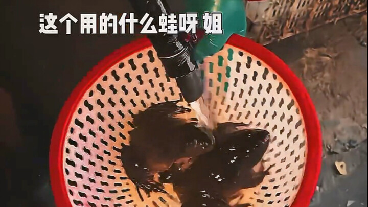 แบคทีเรียแกรมบวกและจุลินทรีย์