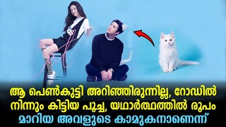 Catman Explained In Malayalam | Chinese Movie Malayalam explained #movies