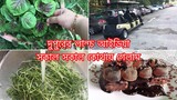 আজ আবার কোথায় গেলাম আমরা সবার কাছে দোয়া চাই ll Ms Bangladeshi Vlogs ll