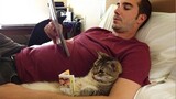 Unbreakable bond between CATS and HUMAN -  Sweet Moments Cat and Owner