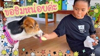 โลกของแสนดี ตอน ลองกินไอติมรสกล้วย