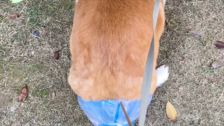 Trời ơi! Đợi tớ!!!