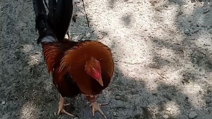 pa follow po salamat