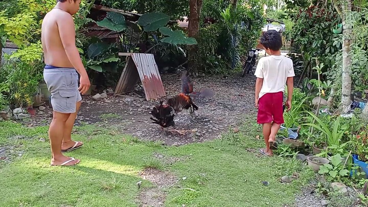 Anak vs Ama. McLean Hatch lines 😁