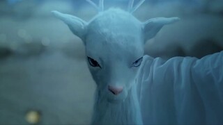 【Luo Yunxi/Runyu Narcissus】 Fate Episode 2 Sweet Story