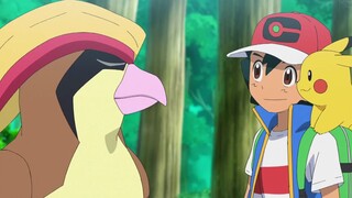 Bab terakhir Pokémon: Ash mengambil Big Bird dan Team Rocket dan berdamai